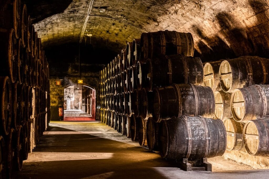 Castle of Cognac: Medieval Fortress and Renaissance Residence in France 5 Castle of Cognac