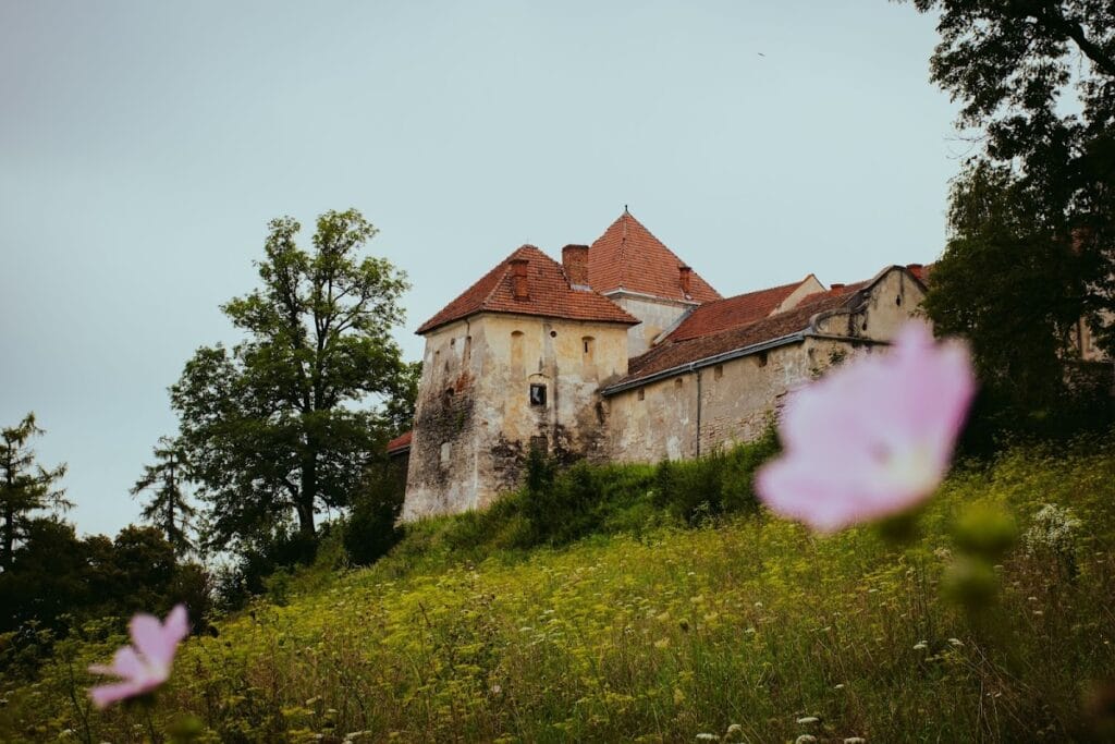 Svirzh Castle: A Fortified Residence in Ukraine 1 Svirzh Castle