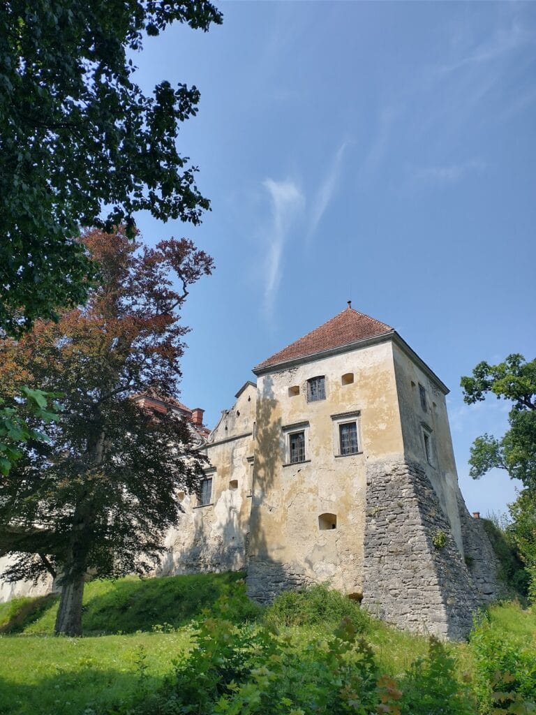 Svirzh Castle: A Fortified Residence in Ukraine 3 Svirzh Castle