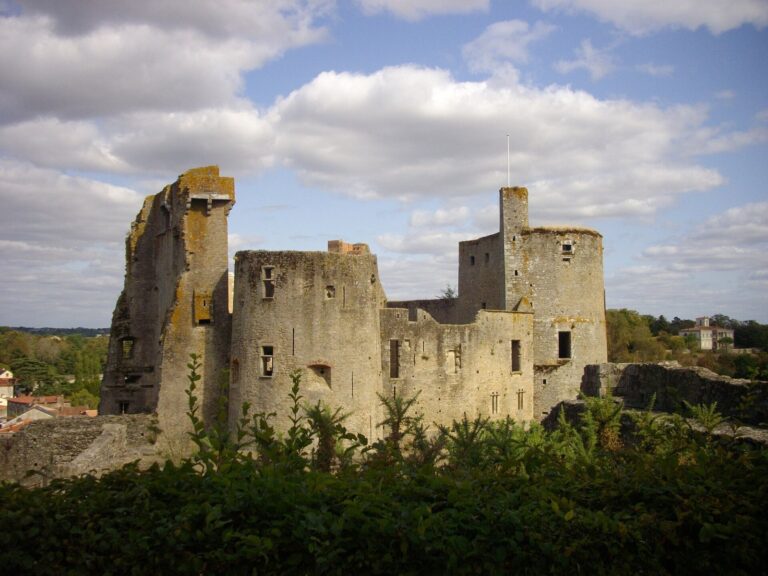 Château de Clisson: A Fortified Castle in France