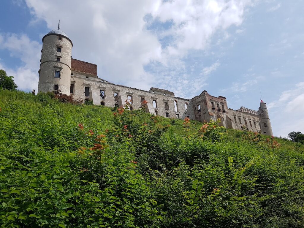Janowiec Castle