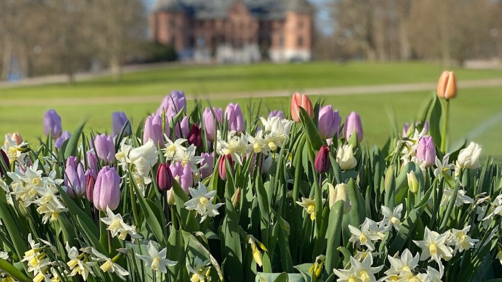 Sofiero Palace: A Swedish Royal Summer Residence in Helsingborg 1 Sofiero Palace