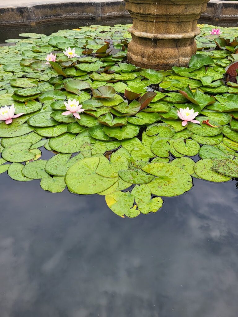 Třeboňský zámek: A Historic Castle Complex in the Czech Republic 10 Třeboňský zámek