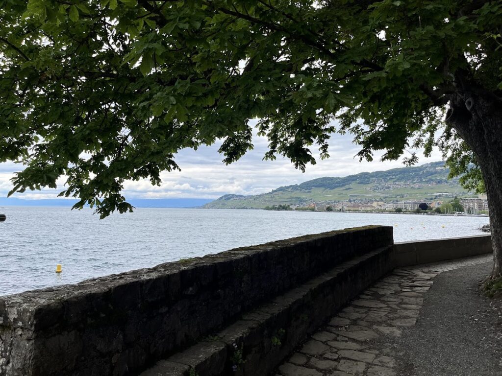 La Tour-de-Peilz Castle: A Medieval Fortress and Museum in Switzerland 4 Castle, house and outbuildings, pavilion, towers, ramparts and ditches