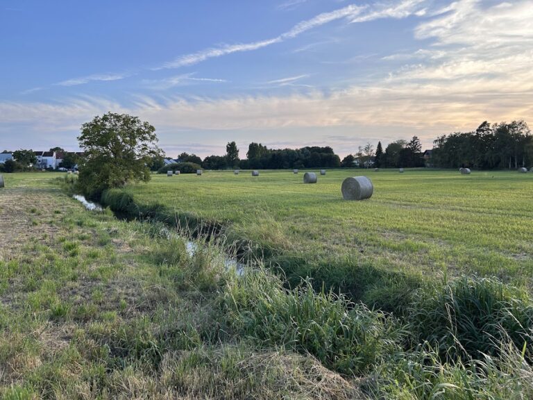 Burg Neu-Wolfskehlen: A Medieval Castle Site in Riedstadt, Germany