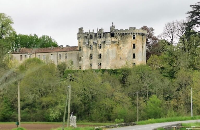 Château de La Chapelle-Faucher: A Medieval Castle in France