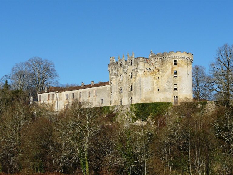 Château de La Chapelle-Faucher: A Historic Fortress in France