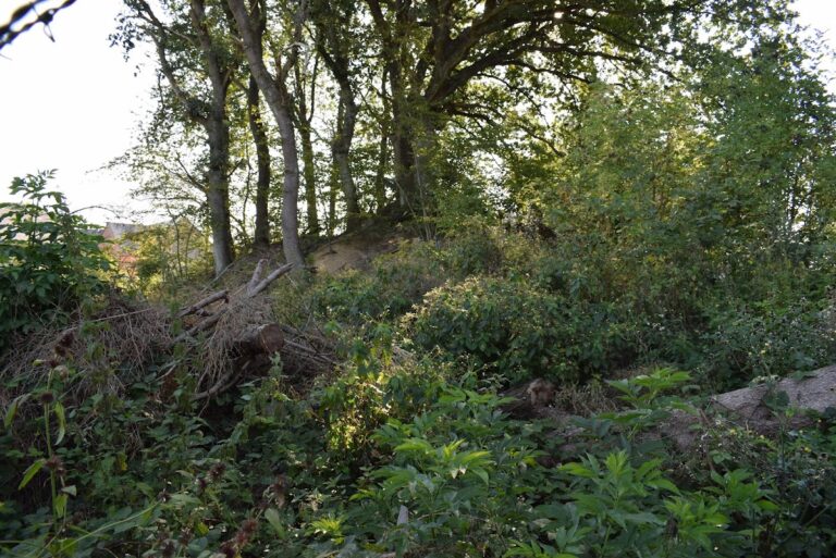 Burg Braunshorn: A Medieval Motte Castle in Germany