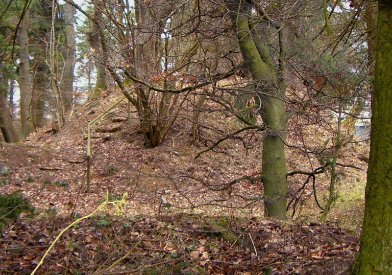 Burg Braunshorn: A Medieval Motte Castle in Germany