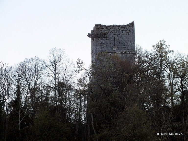 Château de Dorches: A Medieval Fortress in Chanay, France