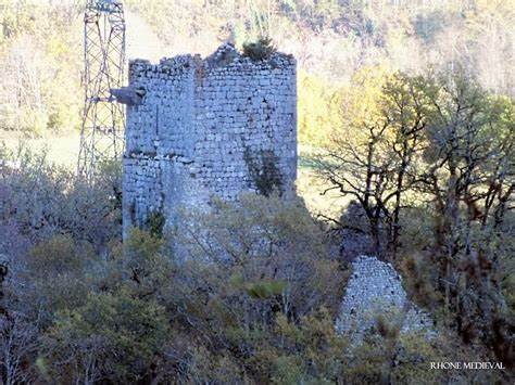 Château de Dorches: A Medieval Fortress in Chanay, France 4 Château de Dorches