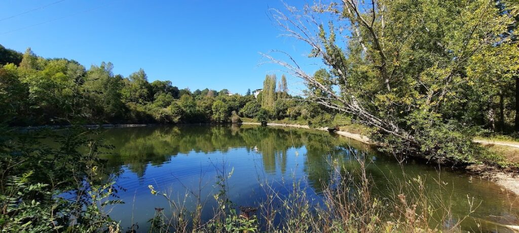 Château de Combebonnet: A Medieval Castle in Engayrac, France 4 Château de la Combebonnet