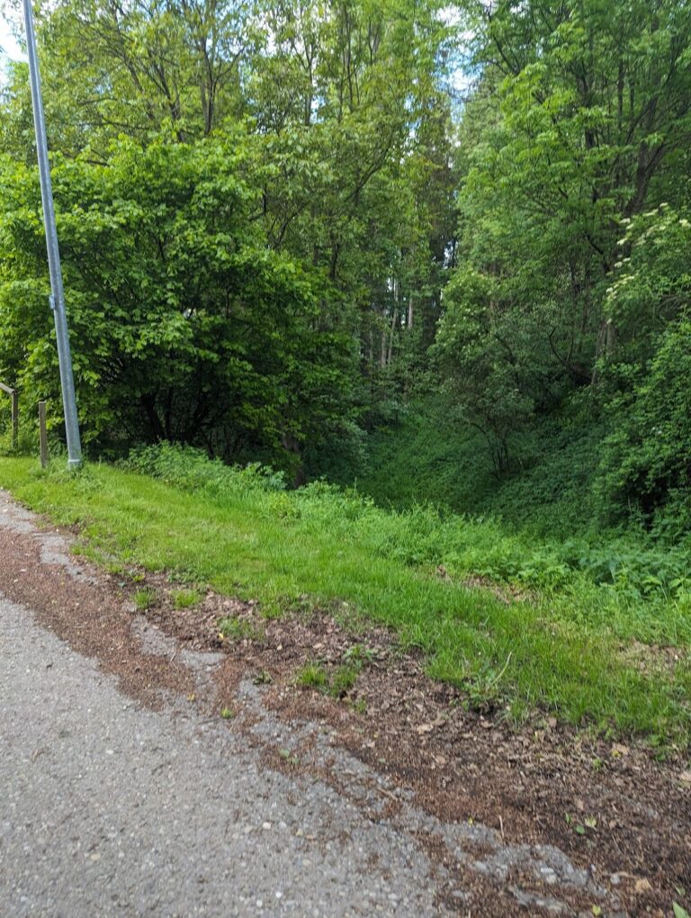 Burg Wolfsberg: A Medieval Castle Ruin in Zusmarshausen, Germany
