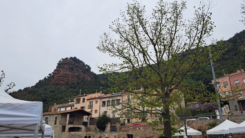 Castell de Vacarisses