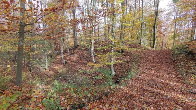 Wallburg Gellinghausen: A Medieval Fortification in Borchen, Germany