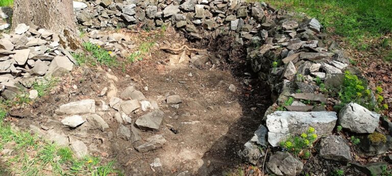 Bodfeld: A Medieval Royal Hunting Lodge and Administrative Site in Germany