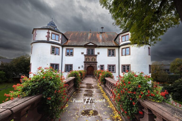 Untere Burg Hardheim: A Medieval Castle in Germany