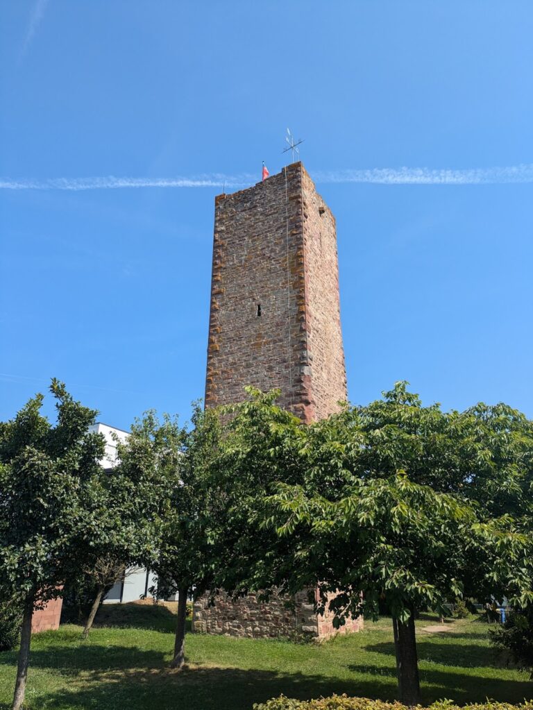 Untere Burg Hardheim: A Medieval Lowland Castle in Germany