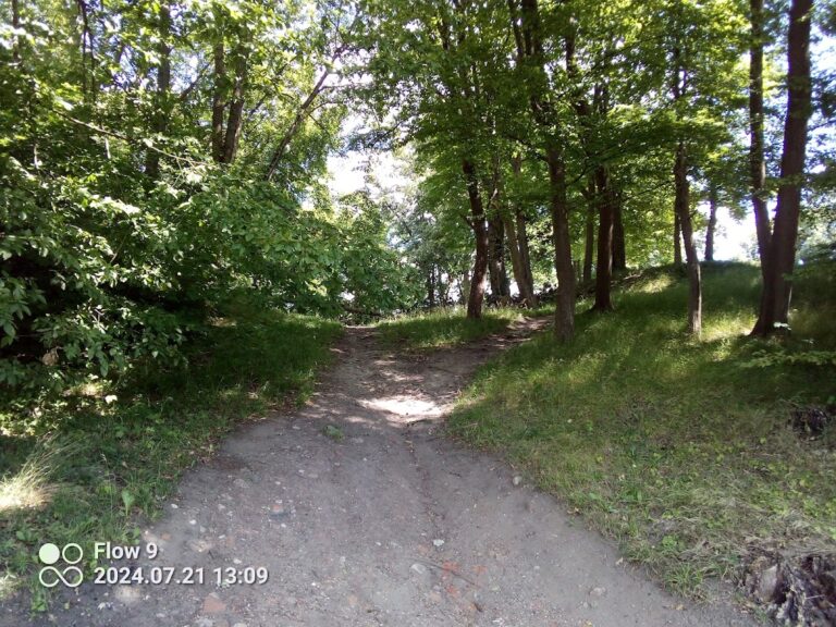 Zamek w Bartoszycach: A Historic Teutonic Castle in Poland