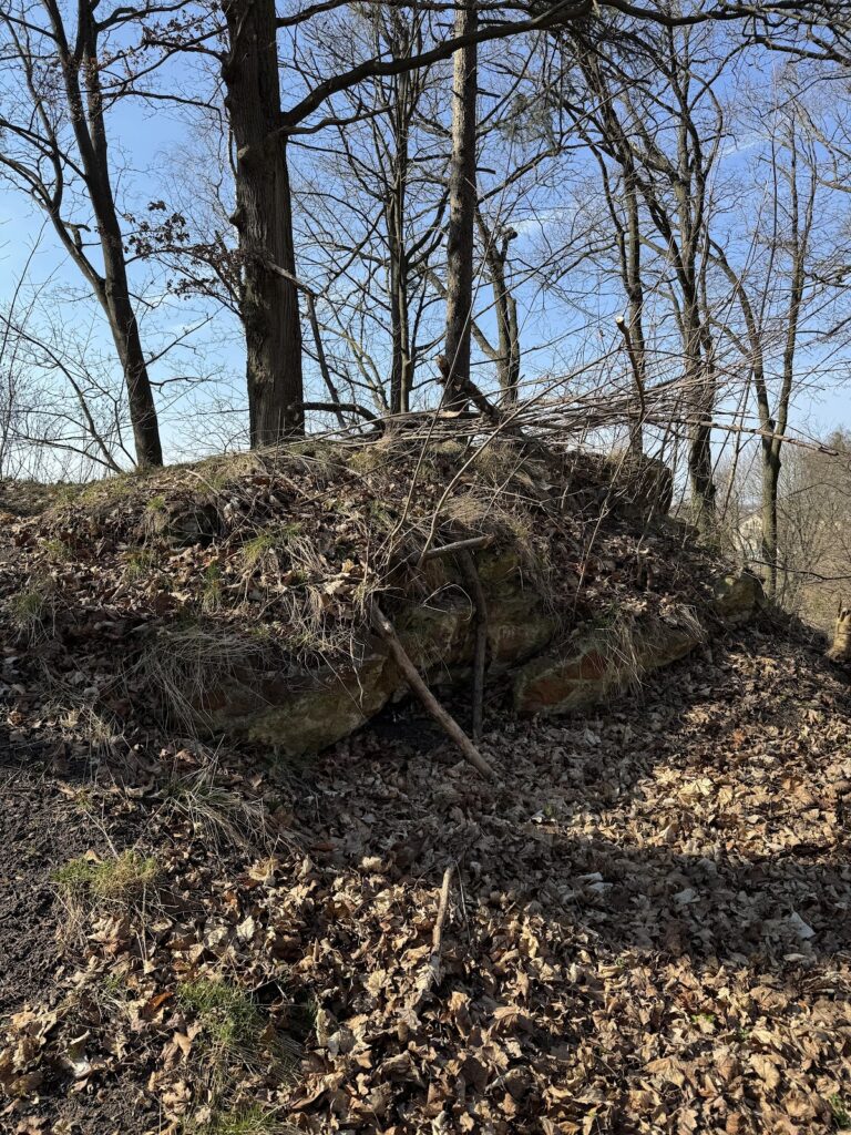 Zamek w Bartoszycach: A Historic Teutonic Castle in Poland 4 Zamek w Bartoszycach