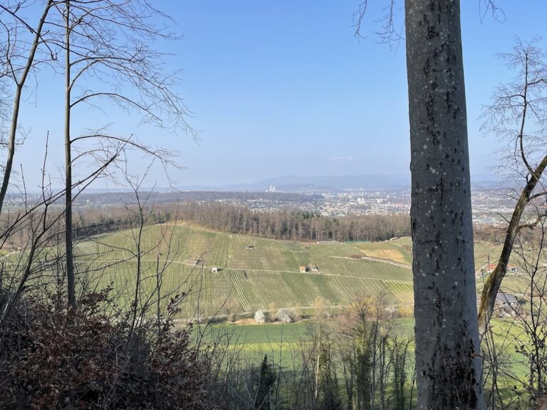 Münchsberg Ruins: A Medieval Hill Castle in Switzerland