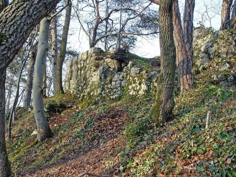 Ruins Münchsberg: A Medieval Hilltop Castle in Switzerland