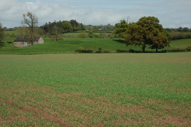 Castell Arnallt: A Medieval Welsh Fortified Court near Abergavenny
