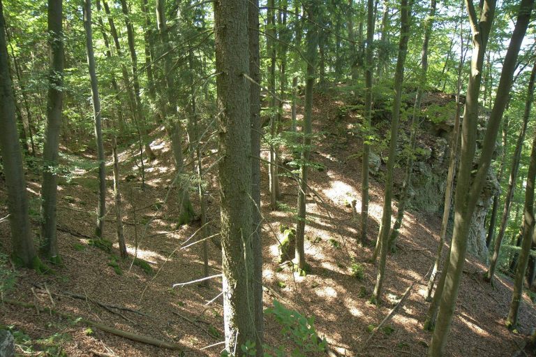 Burgstall Saufelsen: A Medieval Castle Site in Germany