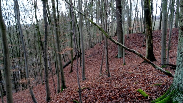 Stesser Burg: An Iron Age and Medieval Ringfort in Meschede, Germany