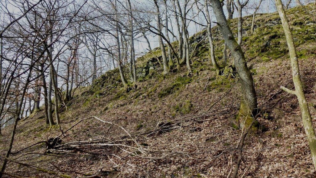 Stesser Burg: A Multi-Period Hillfort near Meschede, Germany 2 Stesser Burg