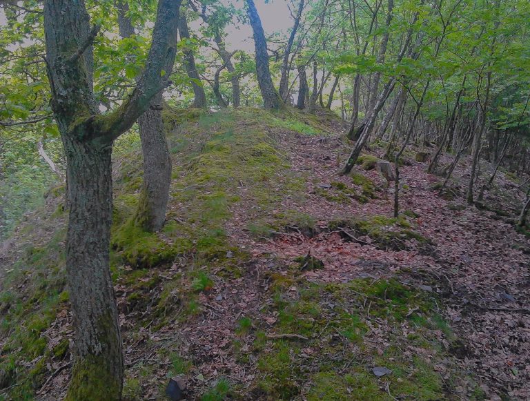 Stesser Burg: A Multi-Period Hillfort near Meschede, Germany