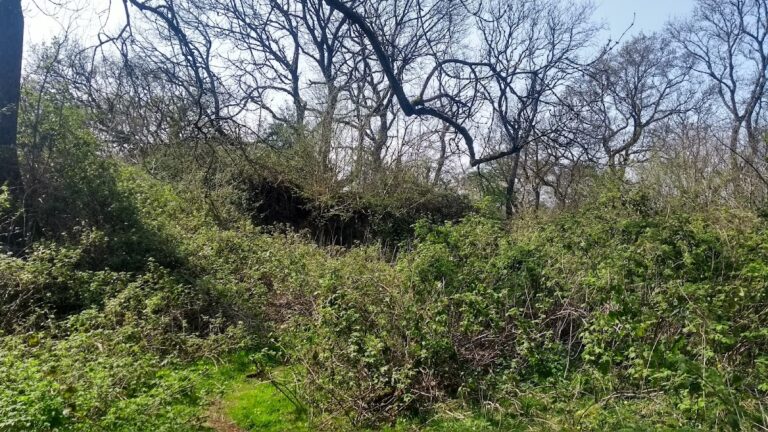 Morgraig Castle: A Medieval Stronghold in Wales