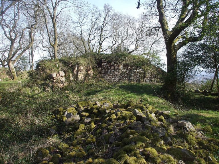 Morgraig Castle: A Thirteenth-Century Frontier Castle in Wales