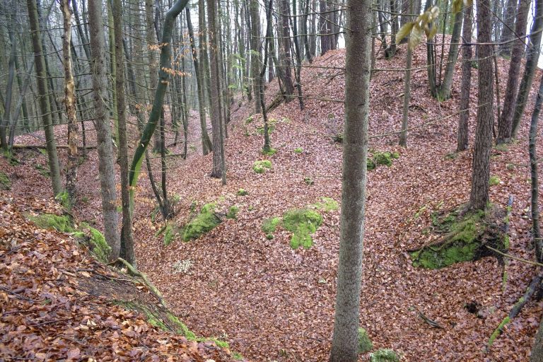 Burgstall auf dem Heideknock: Medieval Spur Castle in Germany