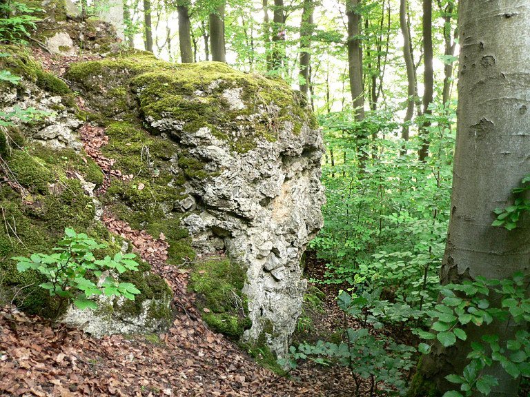 Burg Hallermund: A Medieval Hilltop Castle in Germany