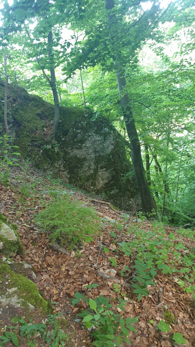 Burg Hoheneybach: A Medieval Hill Castle in Germany