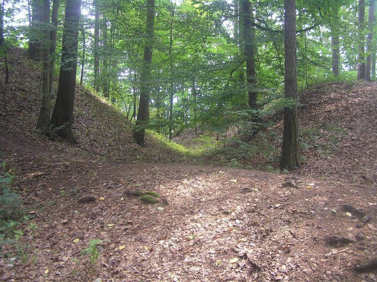 Zítkov: A Fourteenth-Century Castle in Czechia