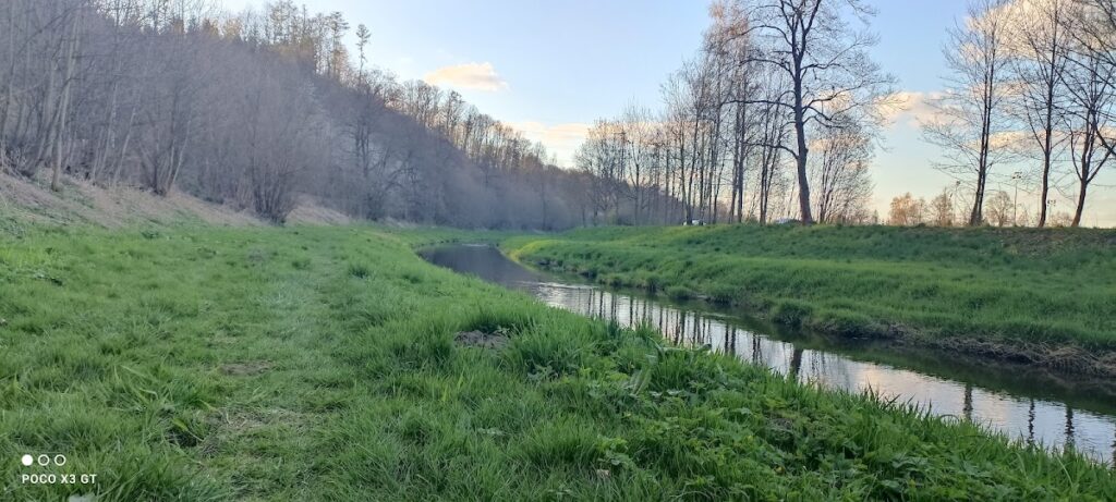 Zítkov Castle: A Medieval Bohemian Fortress Near Choceň 4 Zítkov