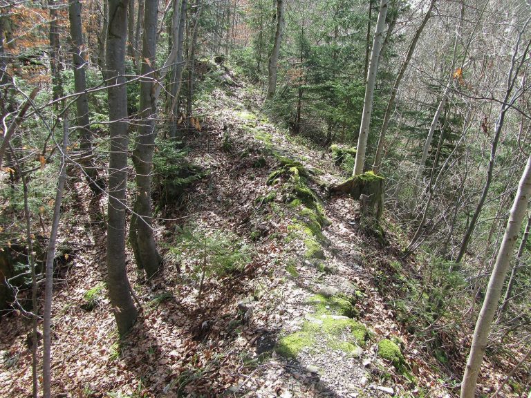 Wildeneck Castle Ruins: A Medieval Lordship in Austria