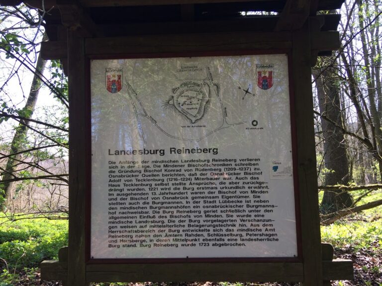 Burg Reineberg: A Medieval Territorial Castle in Germany