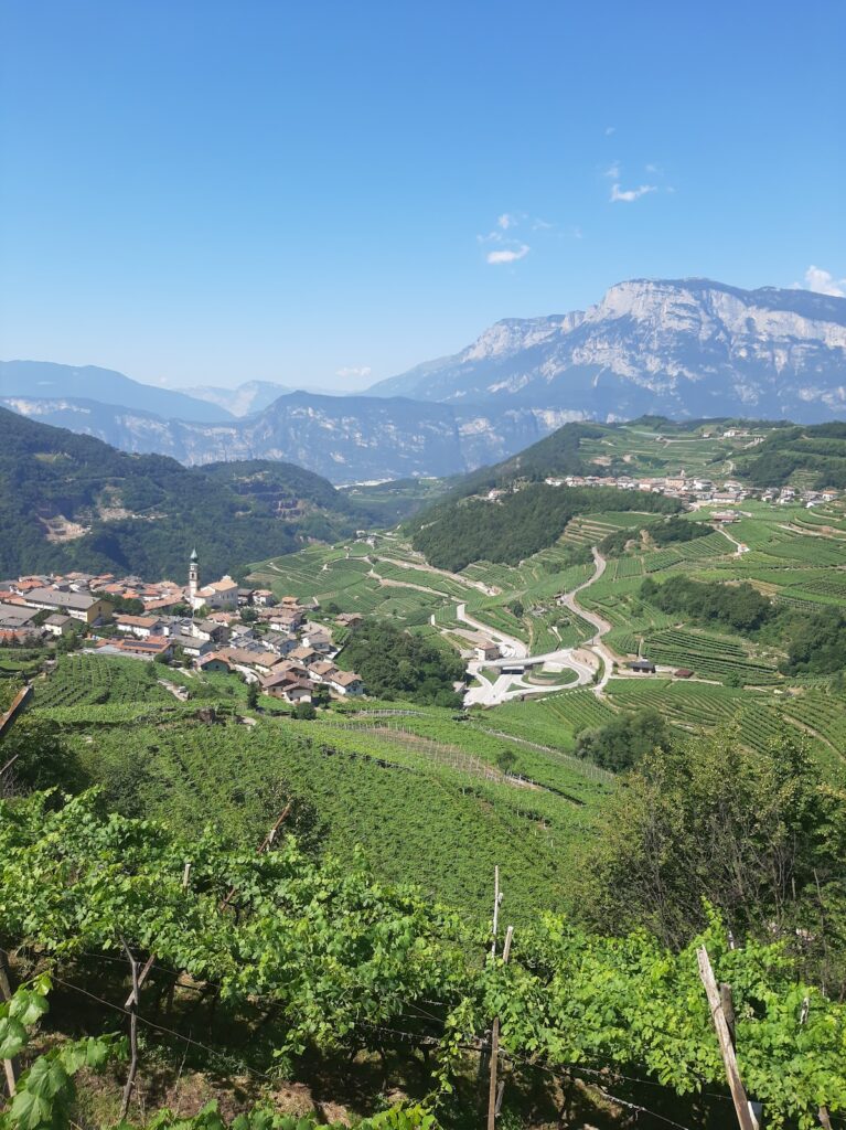 Castel Giovo: A Medieval Castle in Ville di Giovo, Italy 4 Castel Giovo