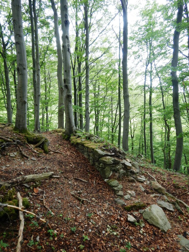 Burg Milseburg: A Medieval Hill Castle in Germany