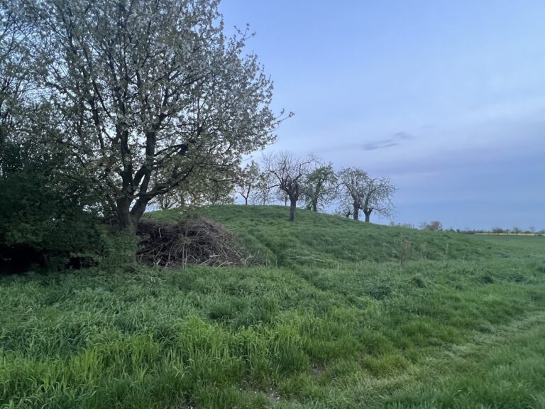 Burg Wellberg: A Medieval Motte Castle in Germany