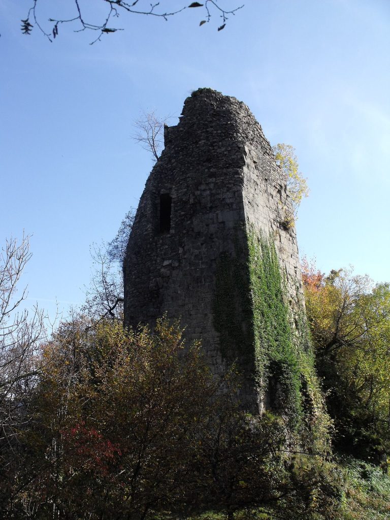 Château de Montjoie-le-Château: A Ruined Fortified Castle in France
