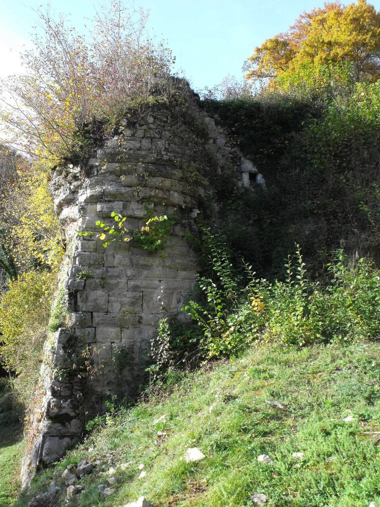 Château de Montjoie-le-Château: A Ruined Fortified Castle in France 2 Château de Montjoie-Le-Château