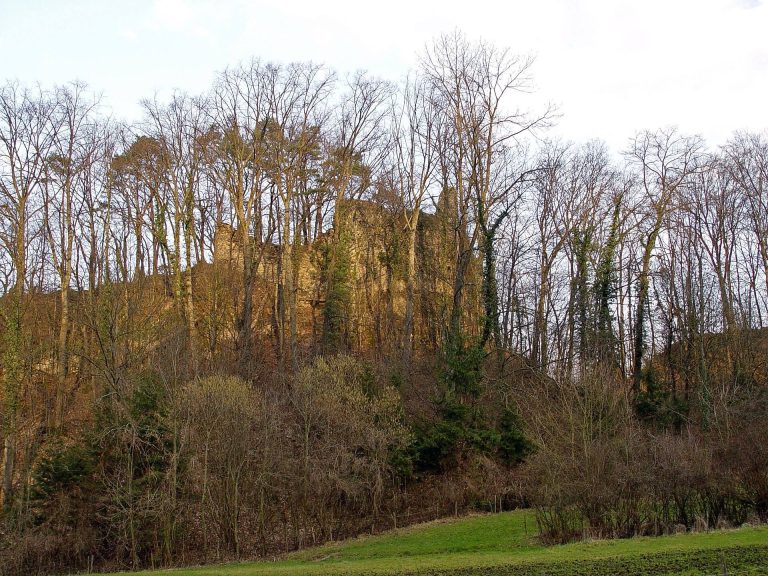 Schalberg Ruins: A Medieval Hilltop Castle in Switzerland