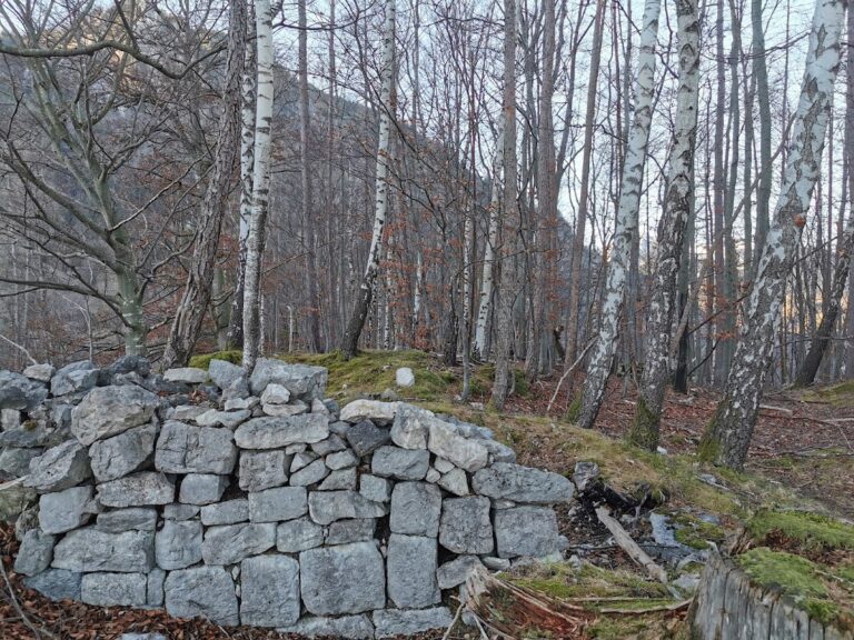 Burg Ober-Falkenstein: A Medieval Hill Castle in Flintsbach am Inn, Germany
