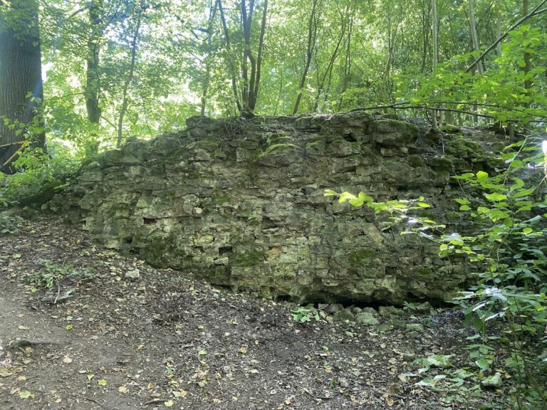 Mydlovar Castle: A Medieval Ruin in Czechia