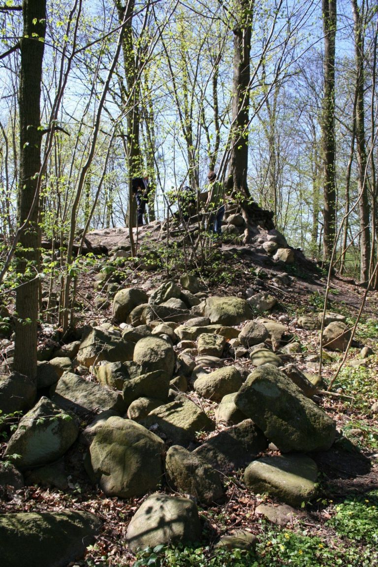 Burg Linau: A Medieval Motte Castle in Germany