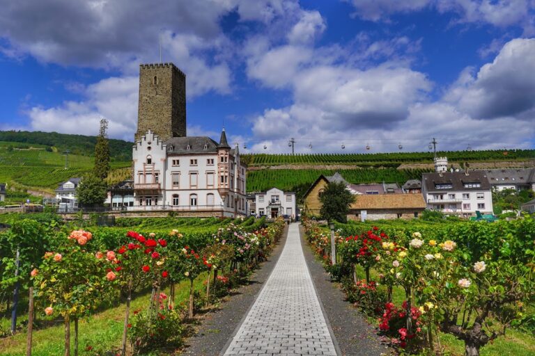 Boosenburg Castle: A Medieval Landmark in Rüdesheim am Rhein